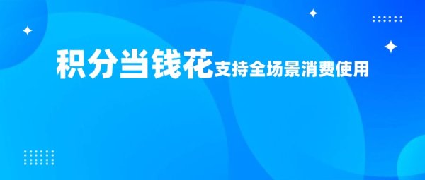 積分支付