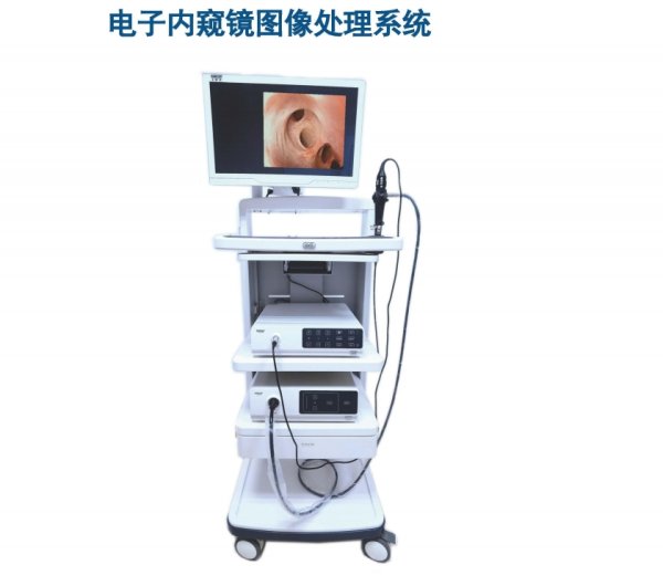 便攜式電子膽道鏡ECH-3、ECH-5
