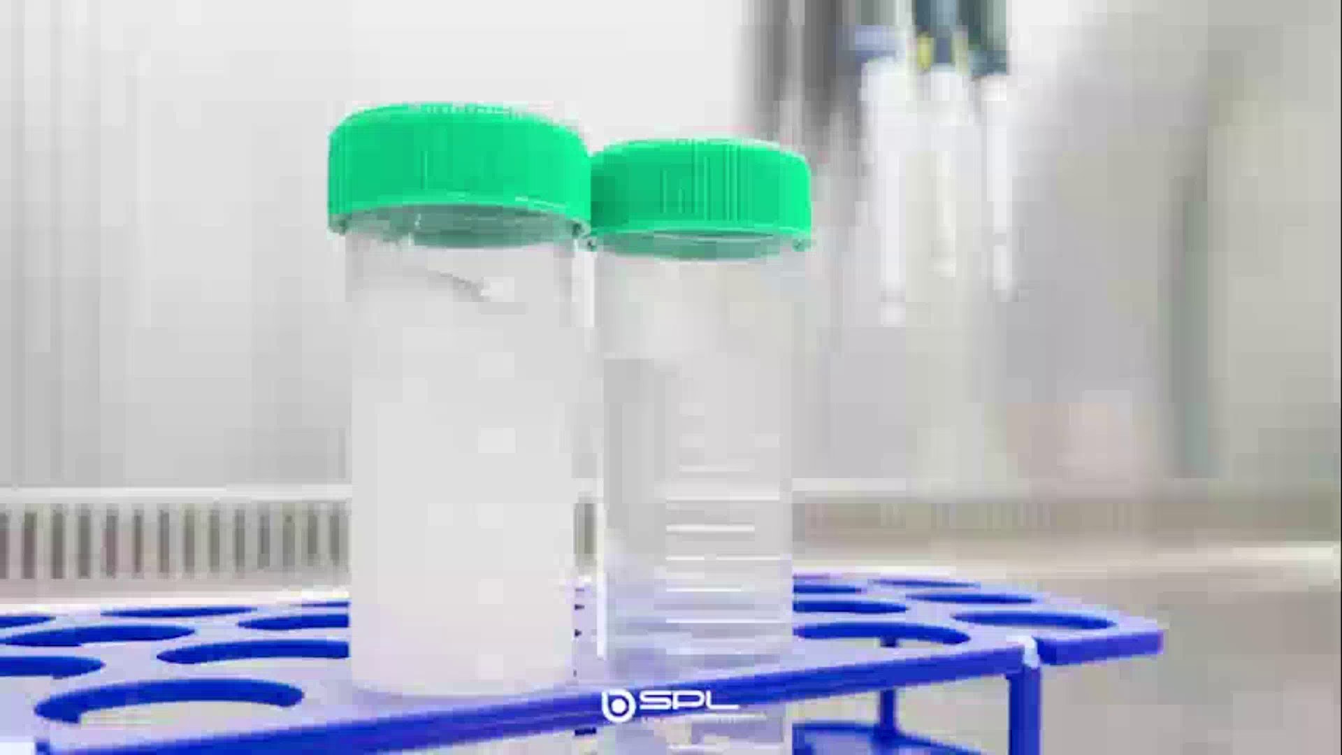 细胞培养板-免疫SPL生命科学型号,SPL生命科学