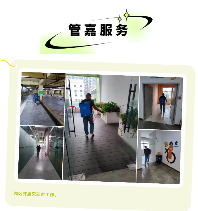 一定发10月周报 |  一分钟相识“嘉”动态_一定发