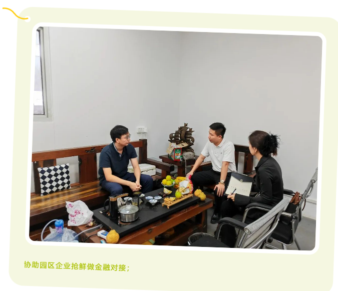 一定发11月周报 |  一分钟相识“嘉”动态_一定发