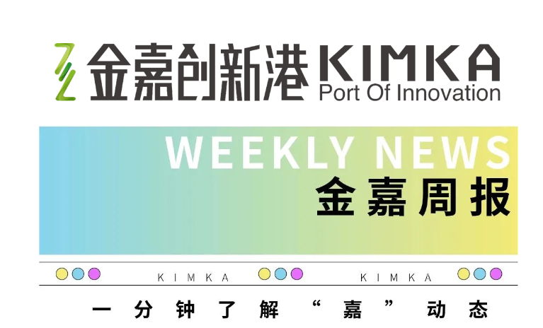 一定发11月周报 |  一分钟相识“嘉”动态_一定发