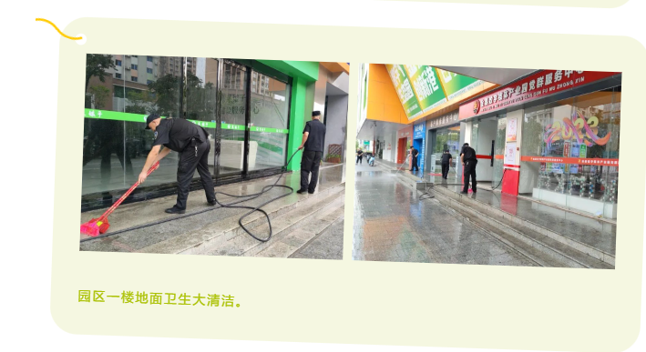 一定发11月周报 |  一分钟相识“嘉”动态_一定发