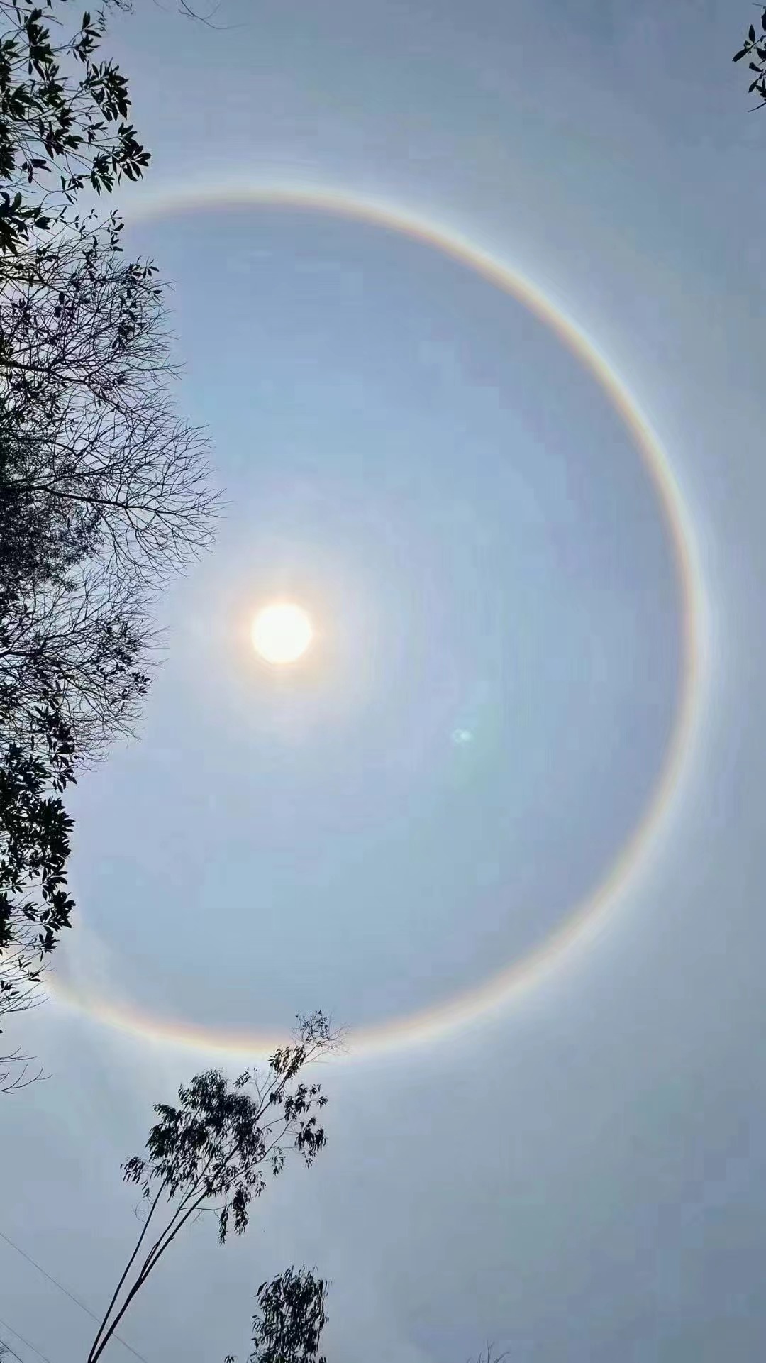 日暈