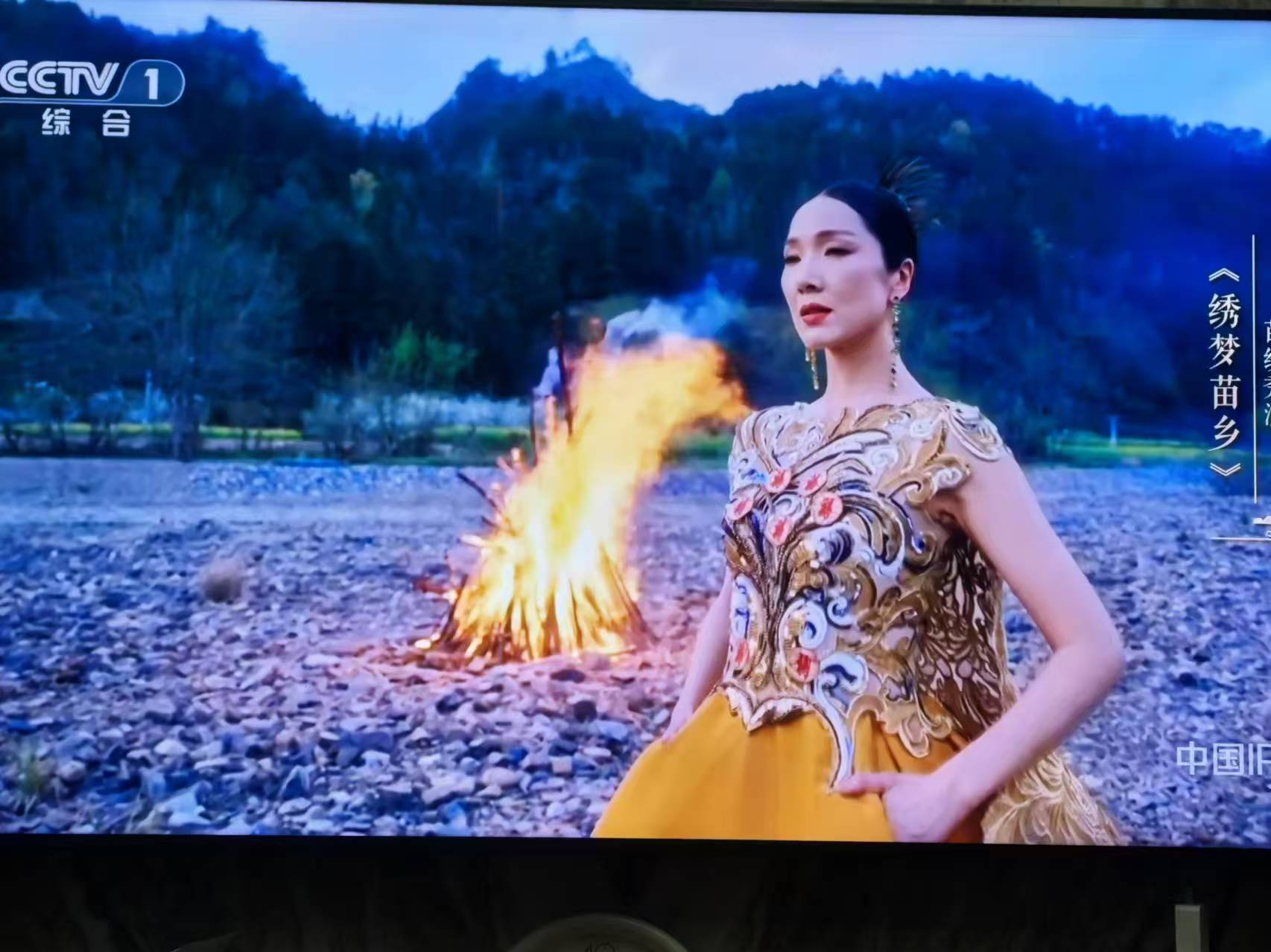 非遺里的中國中特別有一集是介紹了貴州的苗繡