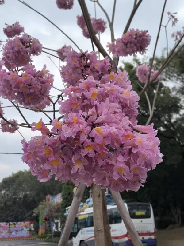 什么樣的 產(chǎn)品才會持久不衰呢