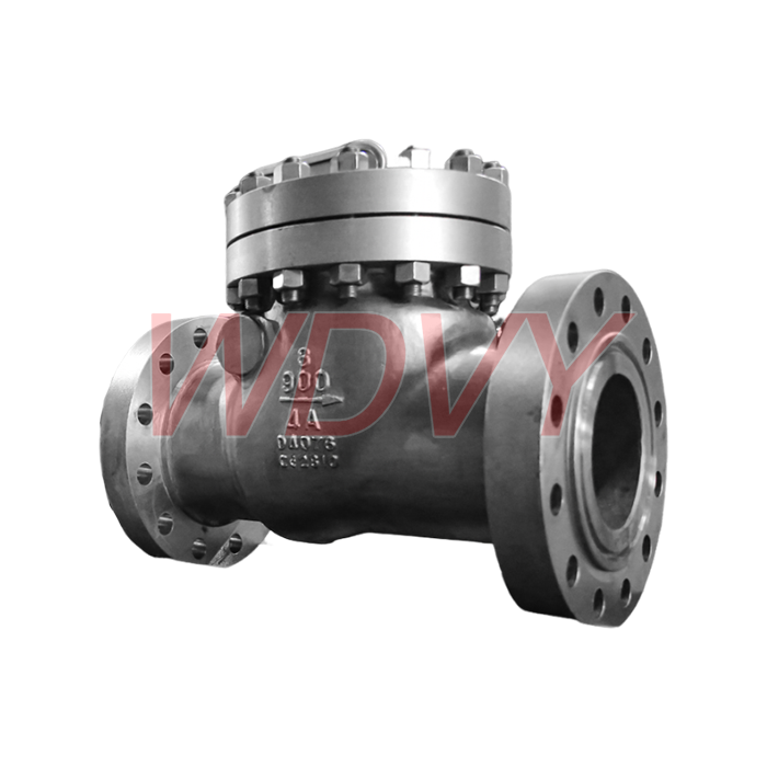 Duplex Stainless Steel 4A Swing Check valve