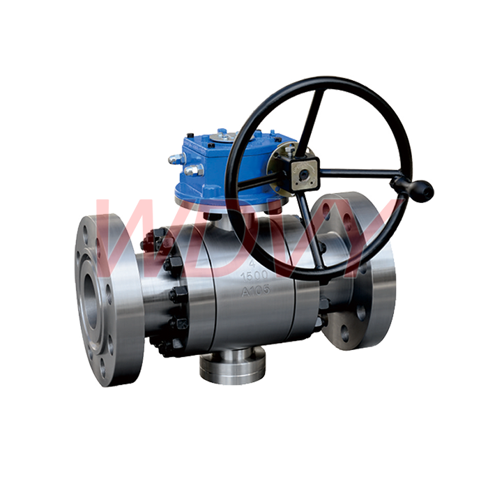 trunnion mounted ball valve