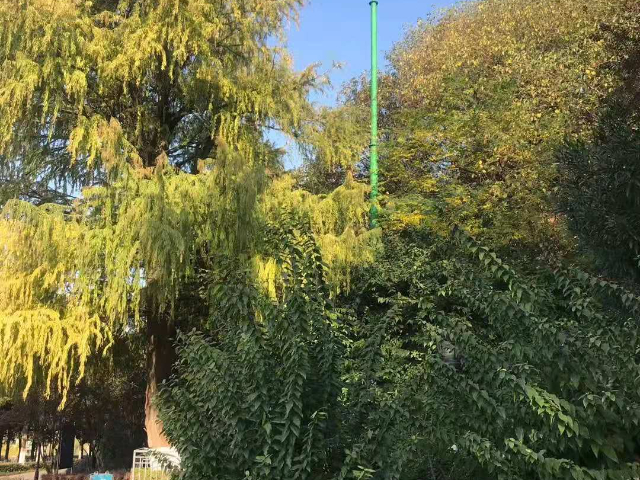 深圳耐腐蝕避雷針生產廠家