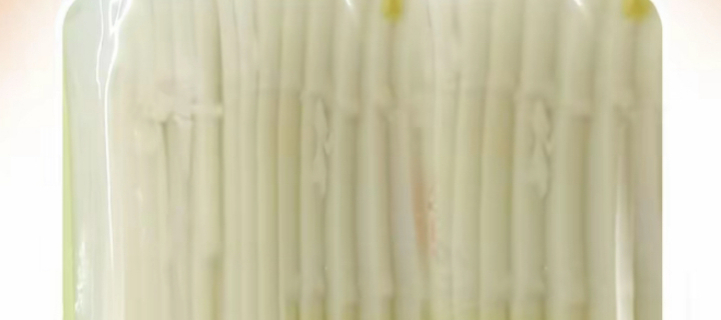 工业冬笋推荐厂家,冬笋