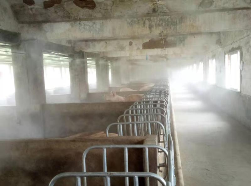 异味反复难除？喷雾除臭为您焕新洁净空间