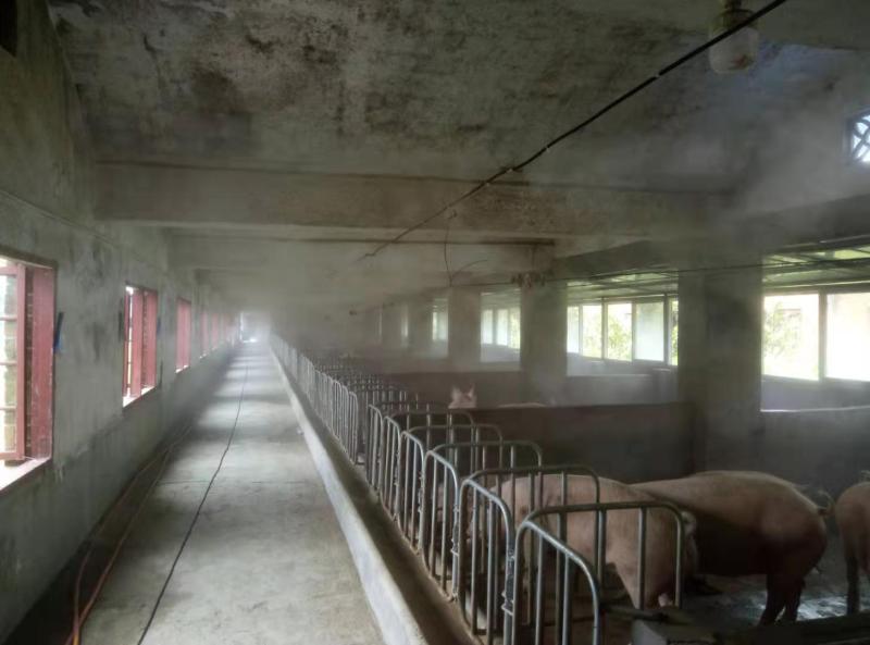 消毒除尘高压喷雾系统