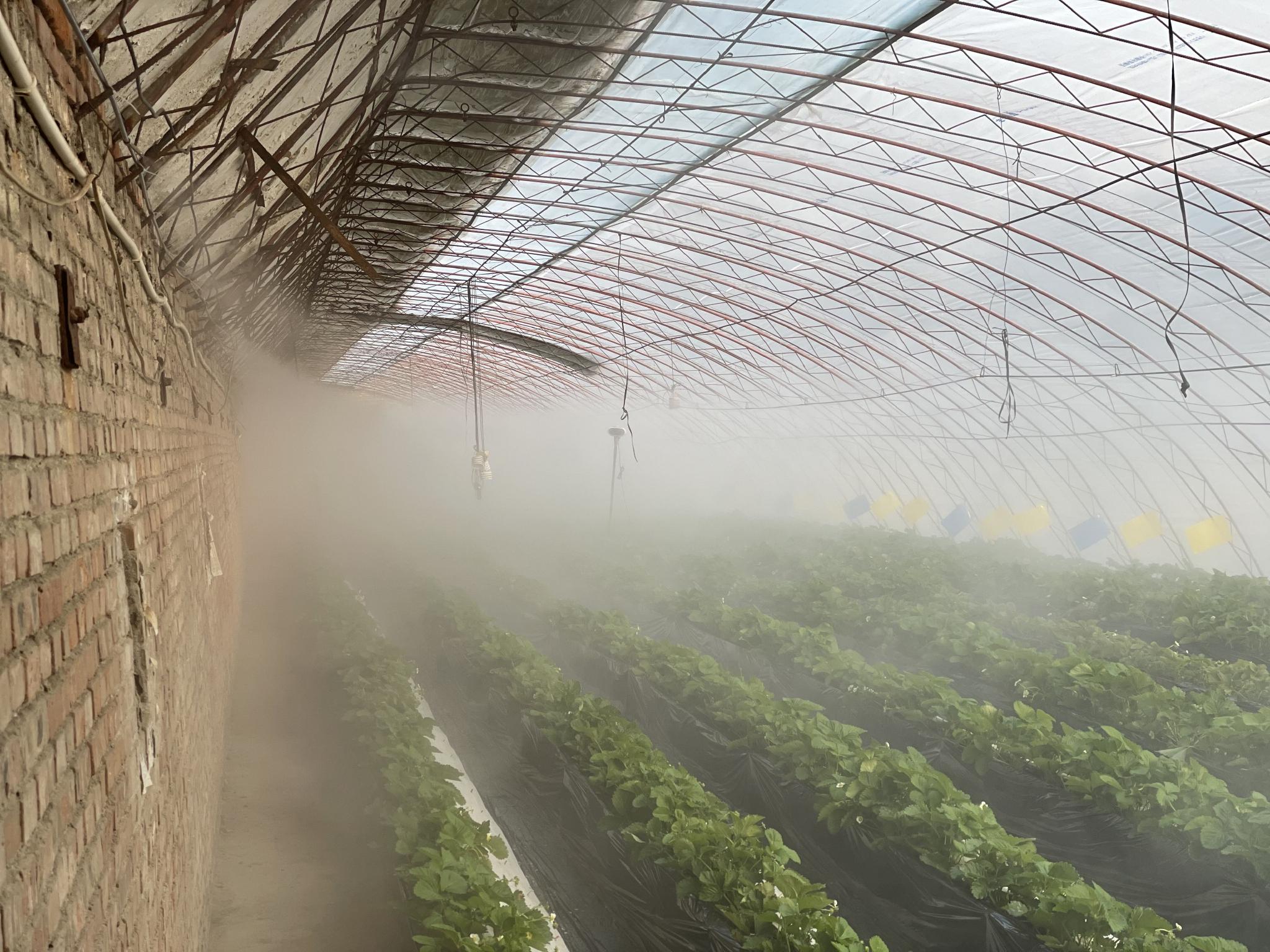 大鹏自动喷雾系统