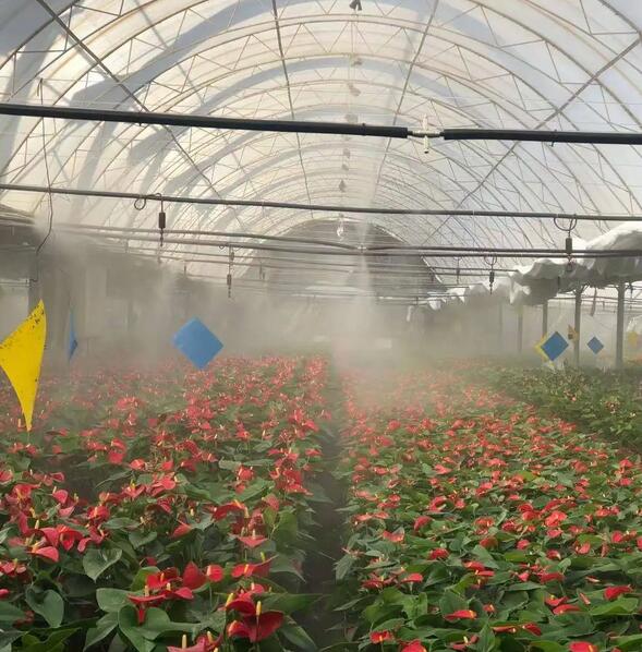 大棚自动喷雾系统助力提升农业生产