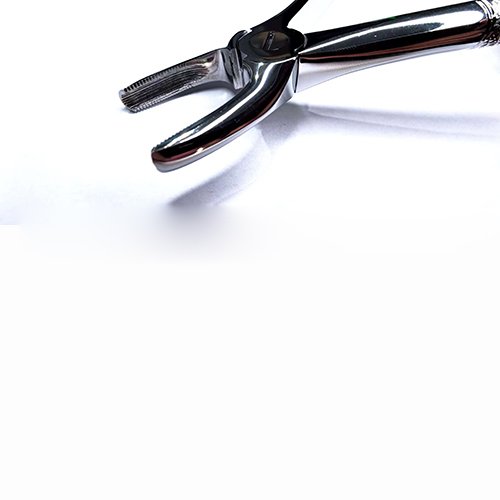 NK44-01 成人上頜前牙鉗-Extracting Forceps, Upper centrals & canines