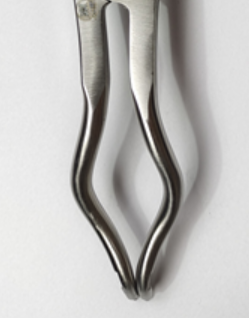 NK38-01 橡皮障夾鉗 17cm-Rubber Dam Instruments, Brewer 17cm