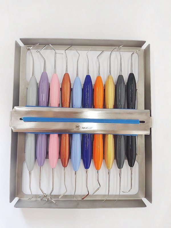 NK26-21 美學套裝 1 10支裝 硅膠柄-Dental Fillers 10pcs Silicone handle