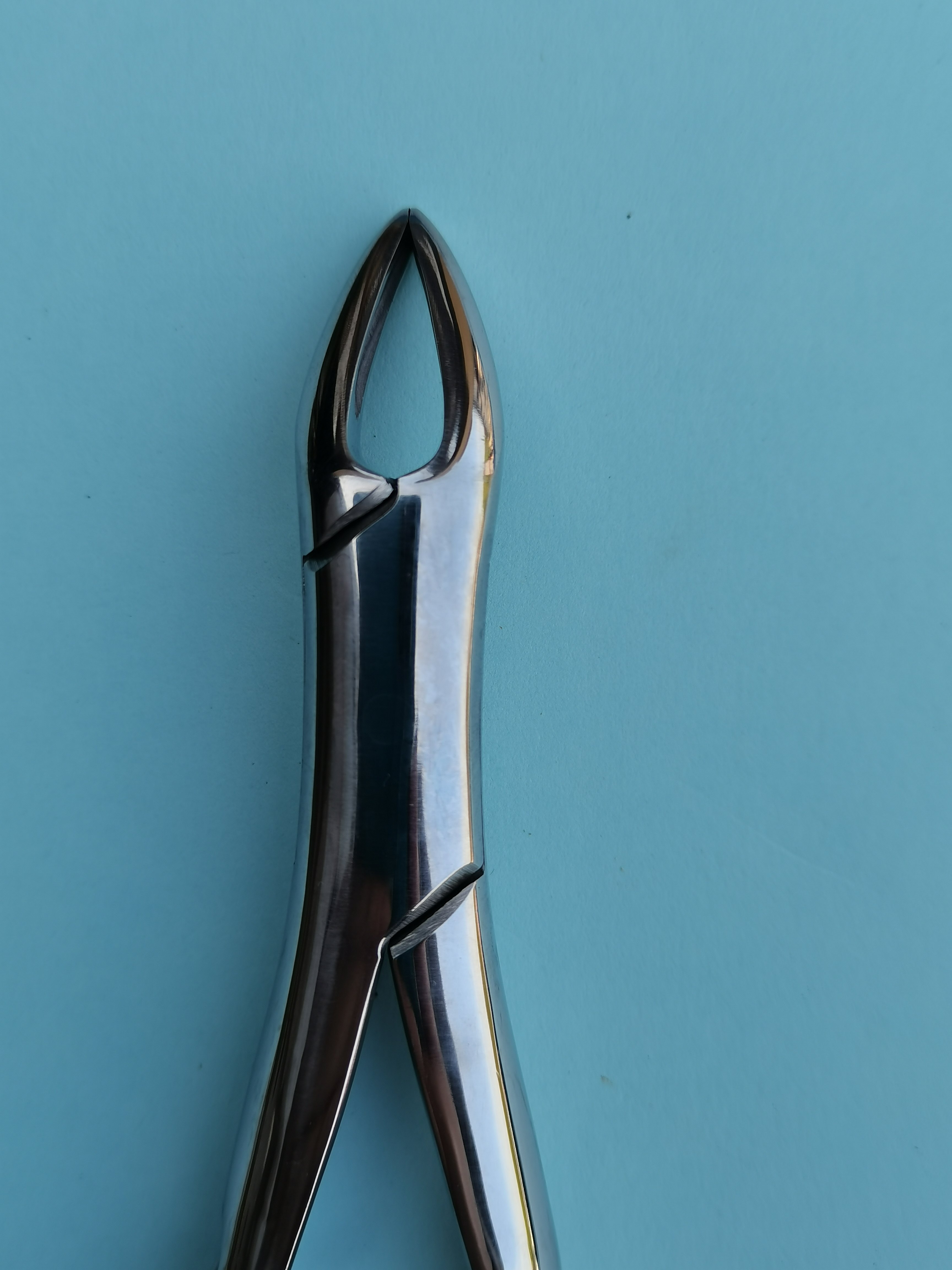 NK44-22 上頜前磨牙鉗 (波浪柄)-Extracting Forceps，new handleUpper premolars