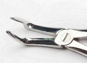 NK44-21 成人下頜根尖鉗 (波浪柄)-Extracting Forceps, Lower roots，new handle