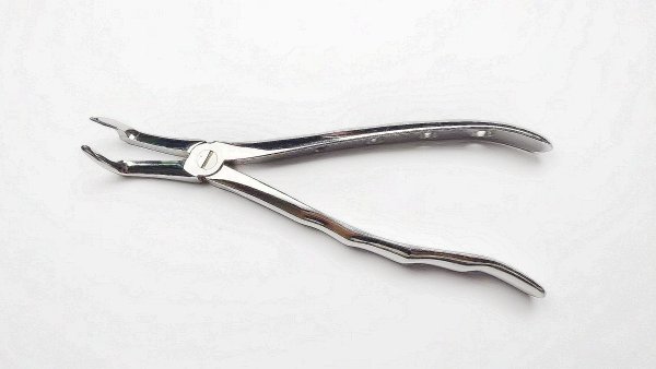 NK44-21 成人下頜根尖鉗 (波浪柄)-Extracting Forceps, Lower roots，new handle