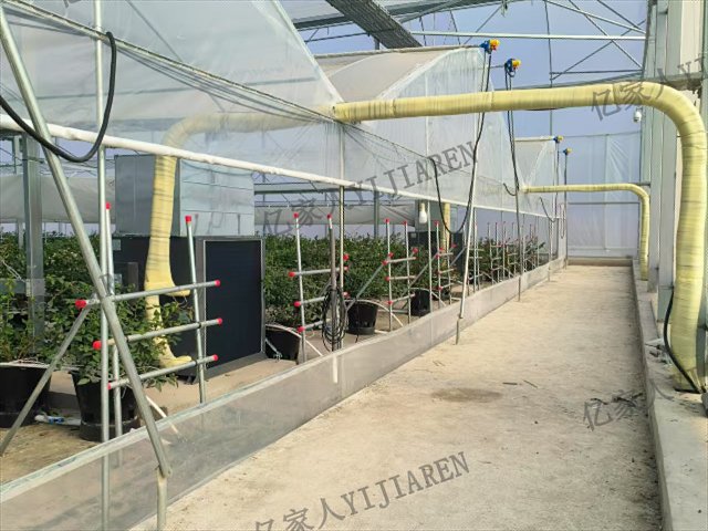 嘉兴新型大棚种植热泵按需定制,大棚种植热泵