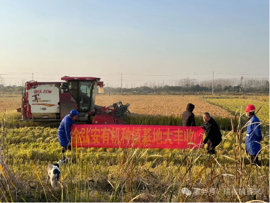 滁州金弘安米業(yè)大米團(tuán)購：從健康控糖到生態(tài)有機(jī)的全場景主食解決方案