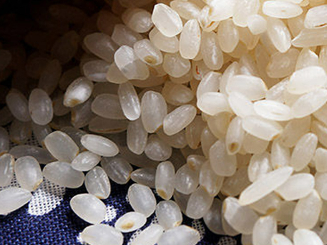 颗粒饱满稻花香米推荐,稻花香米