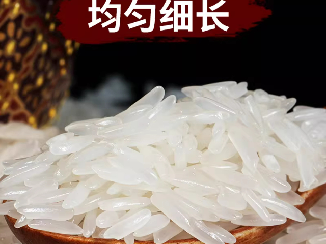 长三角地区放心谷种香米供应商家,香米