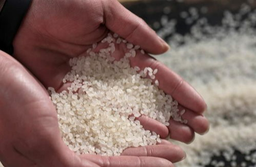 2026年3月|安徽綠色有機(jī)米廠(chǎng)商推薦