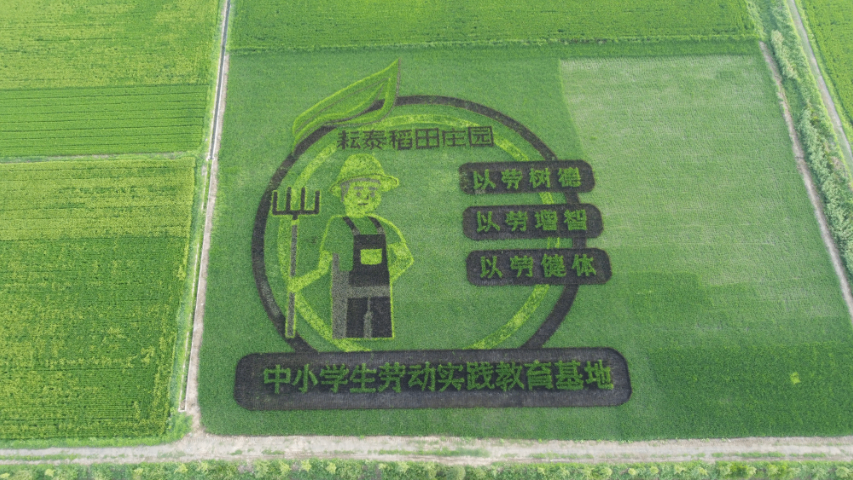 长三角地区特色月牙米量大价优,月牙米