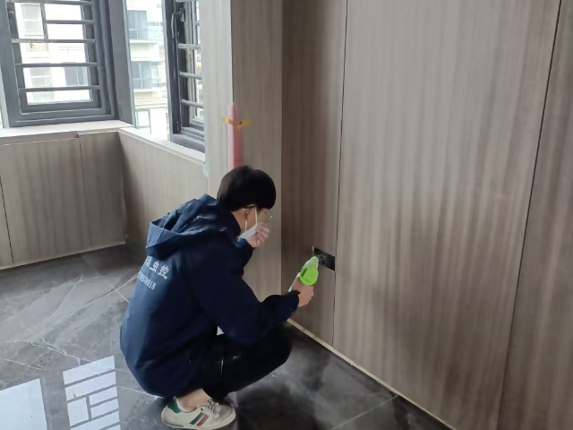 涵江区灭白蚁服务电话,灭白蚁