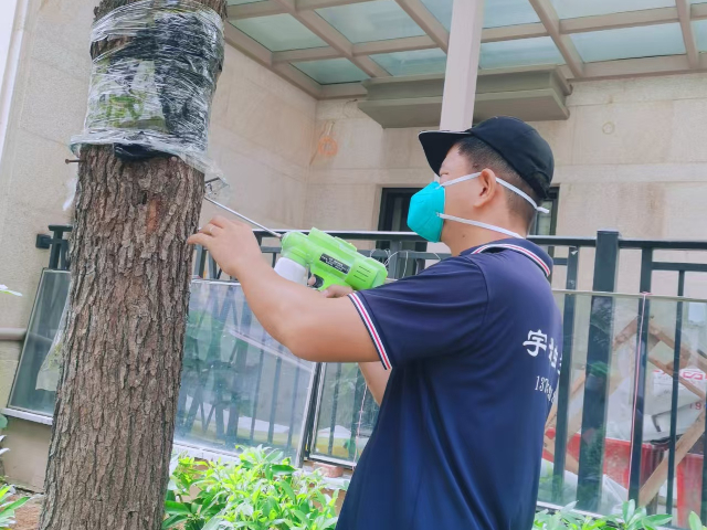 德化新装修灭白蚁,灭白蚁