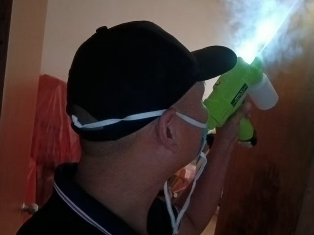 德化新装修灭白蚁,灭白蚁