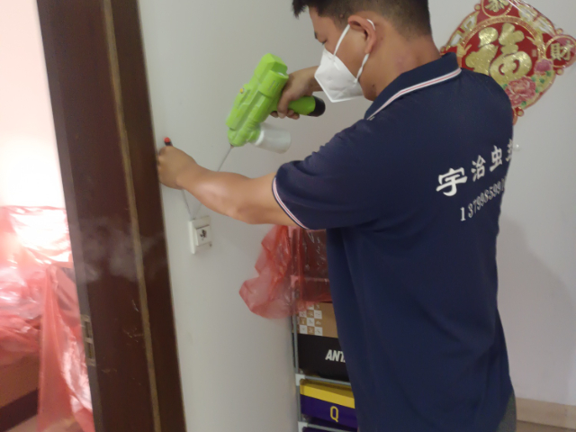 涵江区灭白蚁服务电话,灭白蚁