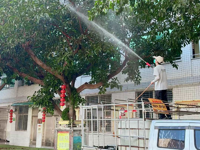 南靖家庭虫害治理,虫害治理