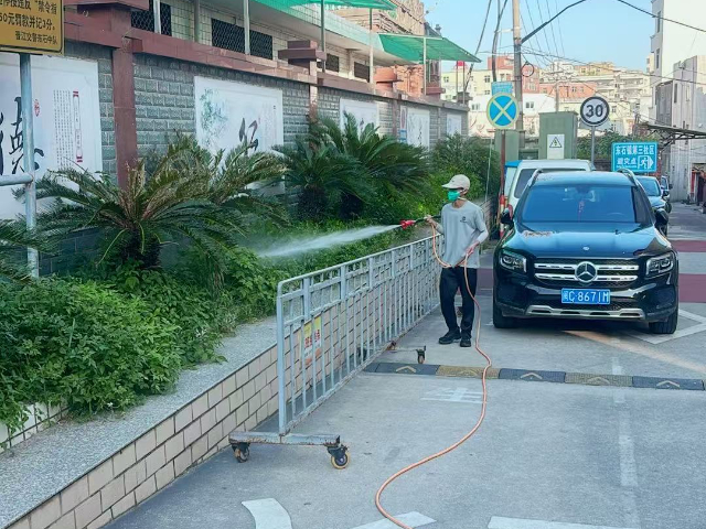 南靖家庭虫害治理