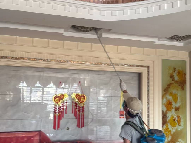 湖里区虫害治理厂家电话,虫害治理