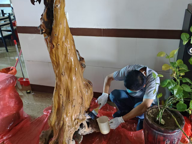 荔城区虫害治理厂家电话