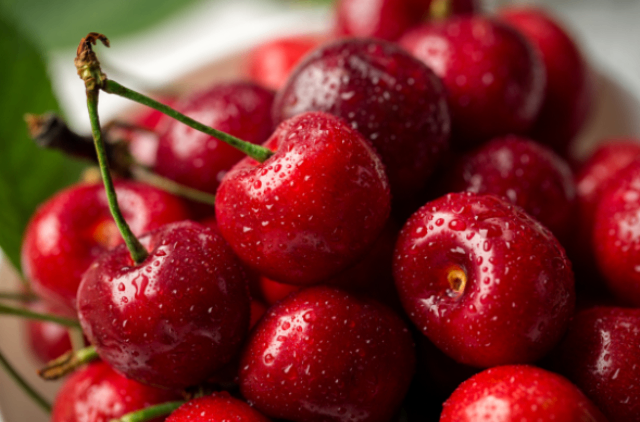 宝鸡销售昱春大樱桃成本价