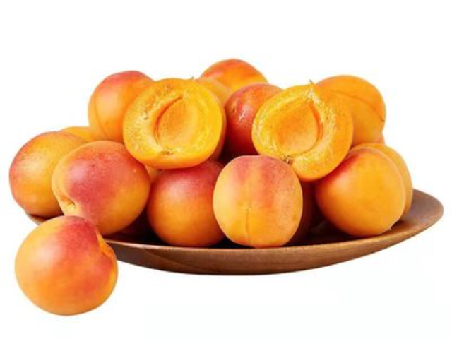 銅川吊干杏引進(jìn) 歡迎咨詢 銅川市印臺(tái)區(qū)昱春農(nóng)業(yè)供應(yīng)