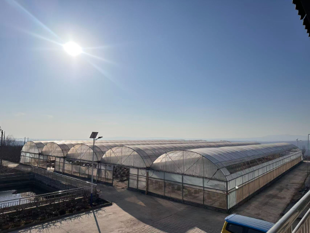 銅川國產移動果園市場報價 來電咨詢 銅川市印臺區昱春農業供應