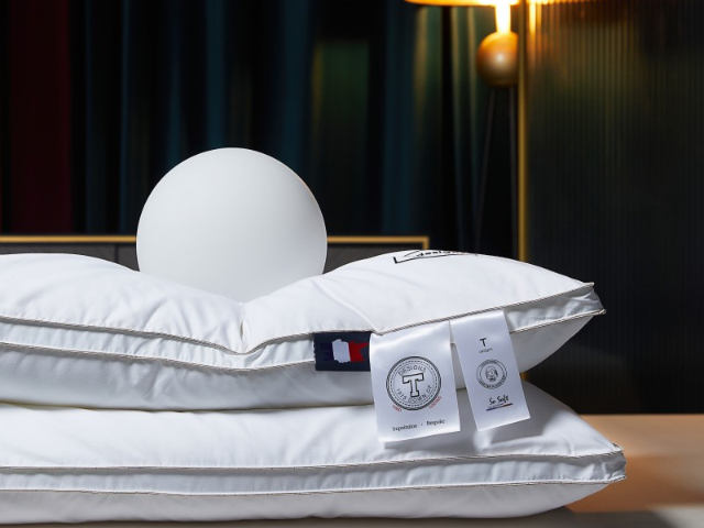 温州过敏性鼻炎用枕芯供应商,枕芯