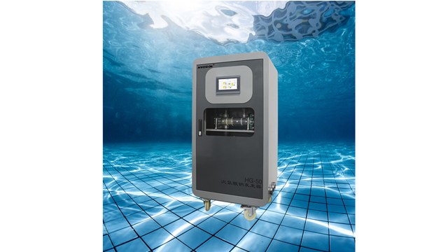 惠州污水廠高效次氯酸鈉消毒器迷你型電解