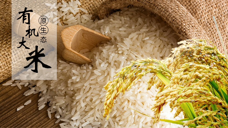 重慶當(dāng)?shù)?kg有機(jī)米粉廠家批發(fā)價,1kg有機(jī)米粉