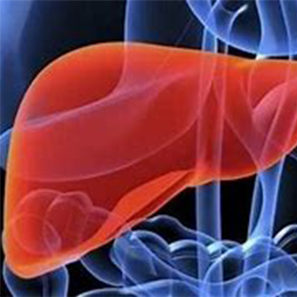 引領(lǐng)行業(yè)創(chuàng)新，我們推出全新成藥性評(píng)價(jià)CRO服務(wù)