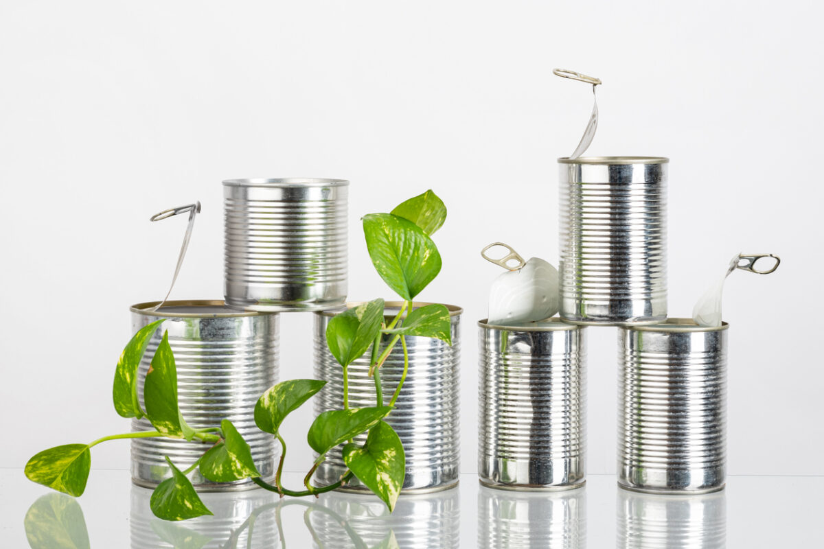 42e14b0b83a1ead14f690c4713a8f1ea