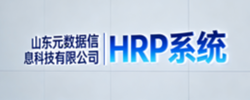 比較好的HRP系統(tǒng)解釋 山東元數(shù)據(jù)信息科技供應(yīng)
