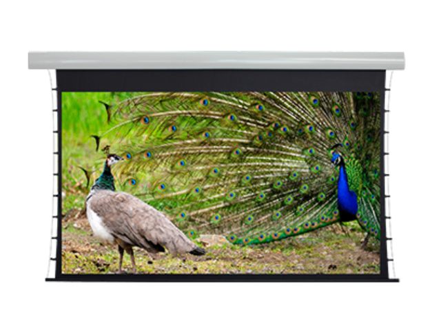 地下室影音室定制 歡迎咨詢 成都勱思科技供應(yīng)