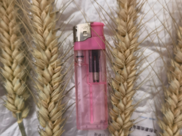 合肥葉面肥硅肥供應(yīng)商 無錫信佳宜生物科技供應(yīng)