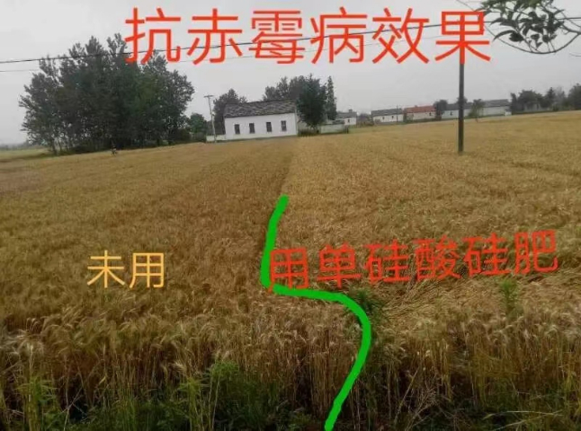 南通單硅酸硅肥供應商